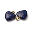 Dyed Natural Lapis Lazuli Pendants G-G287-01G-08-2