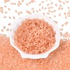 FGB Frosted Transparent Glass Seed Beads SEED-N013-05A-04-2