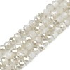 Electroplate Opaque Solid Color Glass Beads Strands X-EGLA-Q112-B02-1