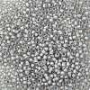 TOHO Round Seed Beads SEED-TR08-0261-2