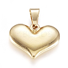 304 Stainless Steel Pendants LS-STAS-F239-19G-C-1