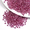 12/0 Glass Seed Beads SEED-A015-2mm-2209-1