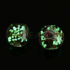 Luminous Handmade Gold Sand Lampwork Beads LAMP-T021-03B-3