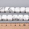 Natural Howlite Beads Strands G-N353-03A-07-5