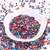 12/0 Baking Paint Glass Seed Beads X-SEED-S001-KM-3