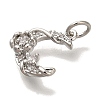 Rack Plating Brass Micro Pave Cubic Zirconia Charms KK-I720-61P-2