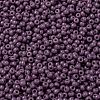 MIYUKI Round Rocailles Beads SEED-JP0009-RR4489-3