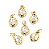 5Pcs Brass Micro Pave Cubic Zirconia Charms ZIRC-SZ0002-15A-1