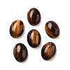 Natural Tiger Eye Cabochons G-G145-01B-56-1
