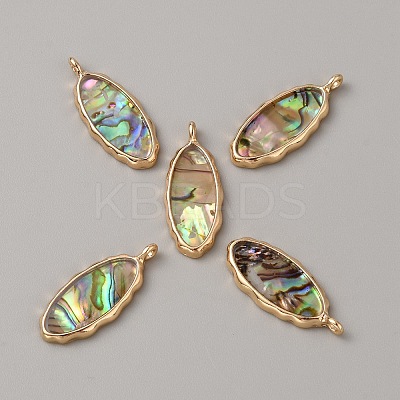 Resin Imitation Abalone Paua Shell Pendants FIND-WH0417-12A-1