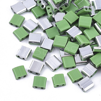 FGB 2-Hole Glass Seed Beads X-SEED-S031-L-047-K-1