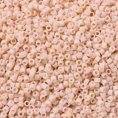 MIYUKI Delica Beads SEED-J020-DB0354-1