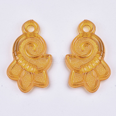 Transparent Acrylic Pendants TACR-T015-081-1