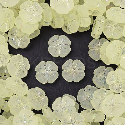 Frosted Transparent Acrylic Beads OACR-P029-19B-03-1