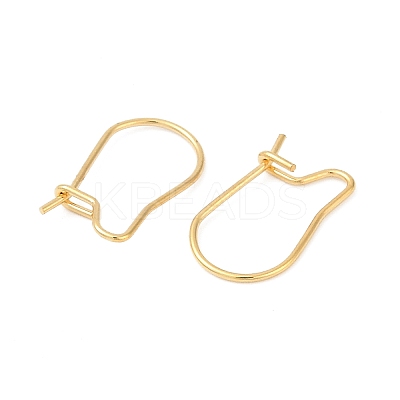 304 Stainless Steel Hoop Earring Findings STAS-P223-01G-06-1