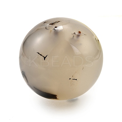 Natural Ocean Jasper Crystal Ball PW-WG29726-01-1