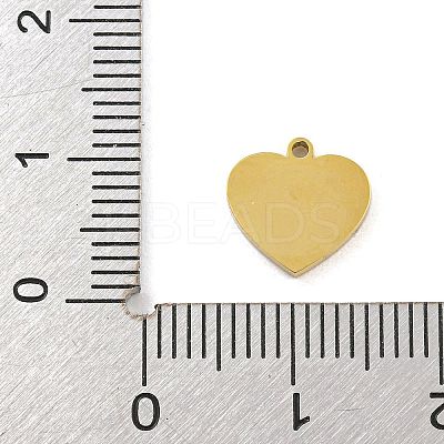 316 Surgical Stainless Steel Enamel Charms STAS-M073-32A-01G-1