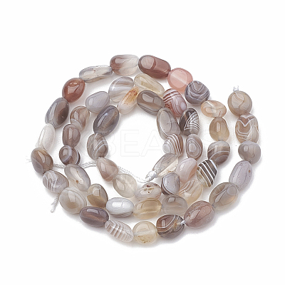 Natural Botswana Agate Beads Strands X-G-S331-8x10-010-1