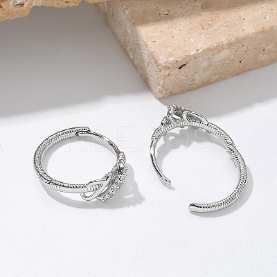 Brass Clear Cubic Zirconia Hoop Earrings EJEW-Q014-14P-1