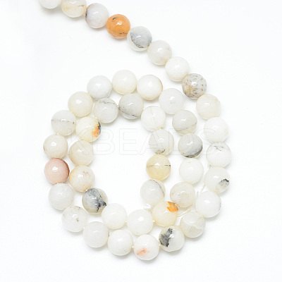 Natural Agate Bead Strands X-G-R346-10mm-26-1