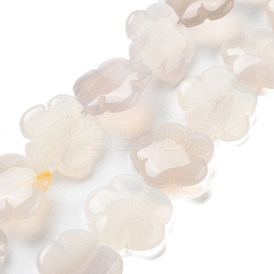 Natural White Agate Beads Strands G-F769-G01-02-1