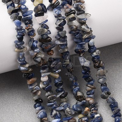 Natural Sodalite Chips Beads Strands LS-F024-1