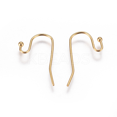 304 Stainless Steel Earring Hooks X-STAS-F227-27-G-1