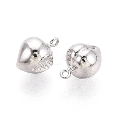 304 Stainless Steel Charms STAS-T067-93P-1
