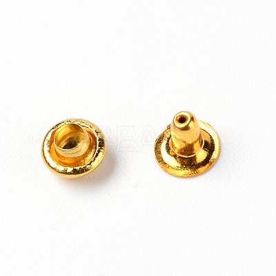 Iron Rivet IFIN-WH0057-38G-1