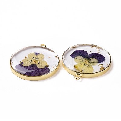 Transparent Clear Epoxy Resin Pendants RESI-L036-12G-07-1