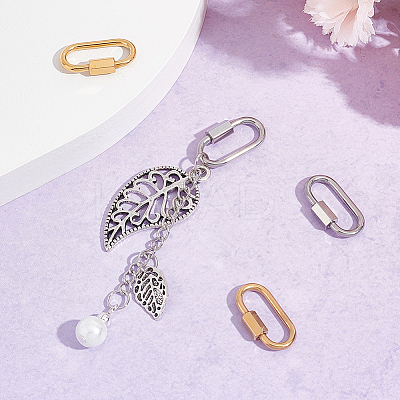 4Pcs 2 Colors 304 Stainless Steel Screw Carabiner Lock Charms STAS-UN0047-25-1