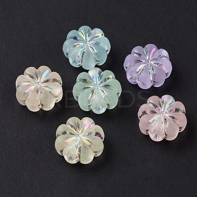 Transparent Frosted Acrylic Beads OACR-C013-31-1