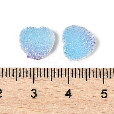 Imitation Candy Food Style Resin Cabochons RESI-R461-01M-1