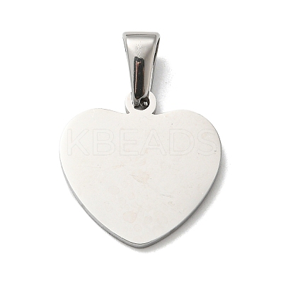 Non-Tarnish 304 Stainless Steel Pendants STAS-I135-12P-B-1