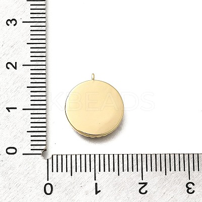 Brass Micro Pave Cubic Zirconia and Acrylic Charms KK-Q035-02G-1