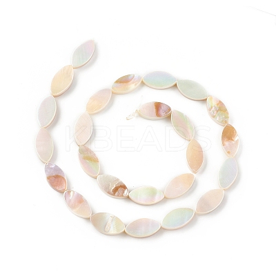 Natural Freshwater Shell Beads Strands SHEL-T009-22-1