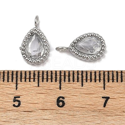 304 Stainless Steel Micro Pave Cubic Zirconia Charms STAS-K302-01C-P-1