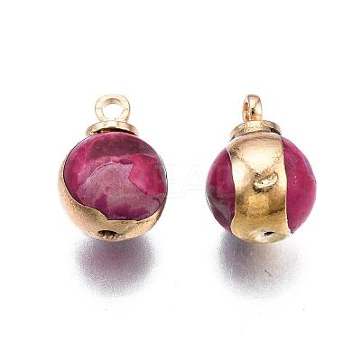 Natural Regalite/Imperial Jasper/Sea Sediment Jasper Charms G-T111-11E-1