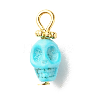Dyed Synthetic Turquoise Charms PALLOY-JF01452-02-1