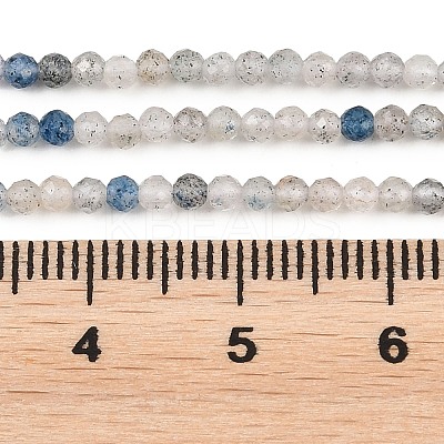 Natural Raindrop Azurite Beads Strands G-P618-2mm-03-1