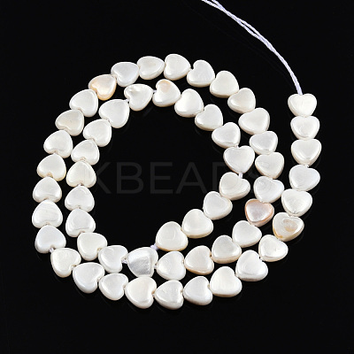 Natural Freshwater Shell Beads Strands SHEL-N026-220A-1