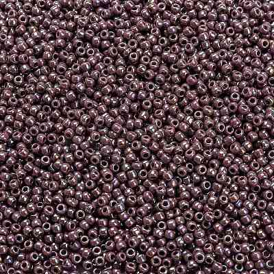 TOHO 11/0 Round Beads SEED-TR11-0412-1