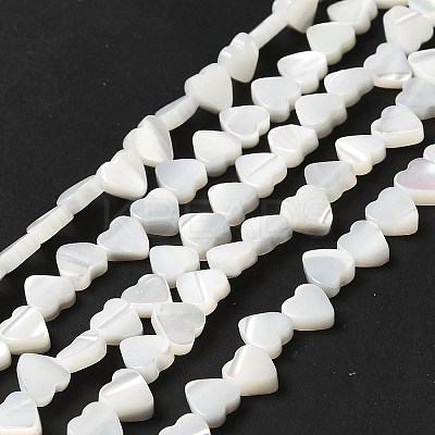 Natural Trochid Shell/Trochus Shell Beads Strands BSHE-E026-19-1