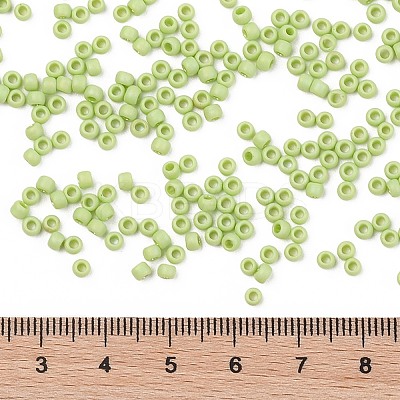 TOHO 8/0 Round Beads X-SEED-TR08-0404F-1