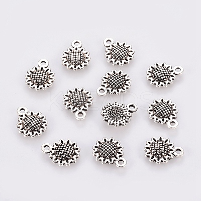 Tibetan Style Alloy Charms LF10257Y-1