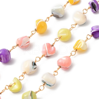 Handmade Shell Pearl Chip Beaded Chains CHC-M024-10G-1