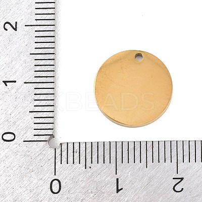 304 Stainless Steel Charms STAS-H249-15G-1