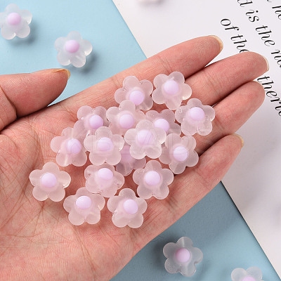 Transparent Acrylic Beads TACR-S152-09C-09-1