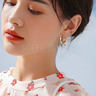 Women Cat Brass Leverback Earrings JE965B-1