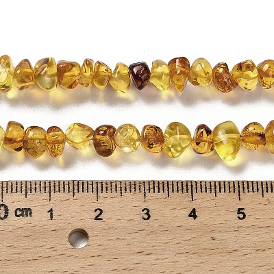Natural Amber Beads Strands G-L095-L01-01-1